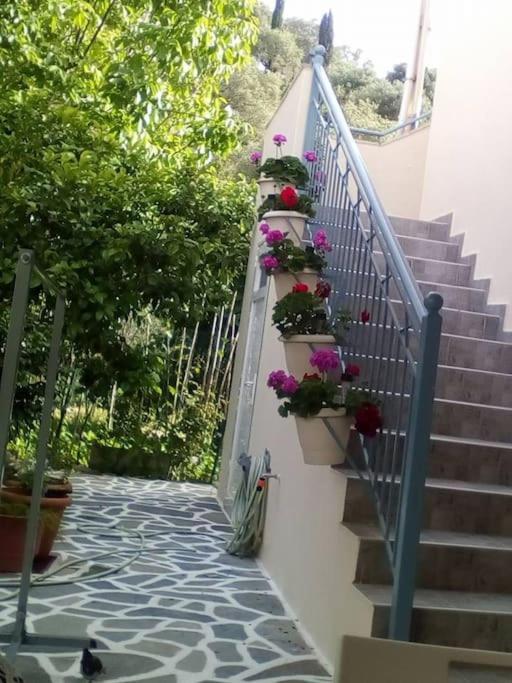 Elen'S House Apartment Sivota  Exterior photo